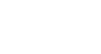Decorative vector